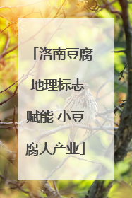 洛南豆腐 地理标志赋能 小豆腐大产业